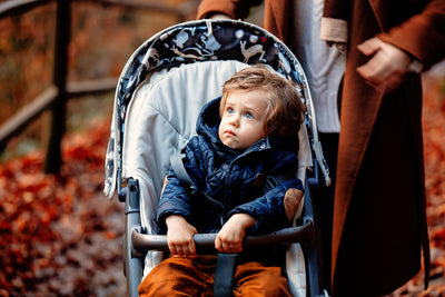 Hoe kan ik een goedkope kinderwagen kopen?